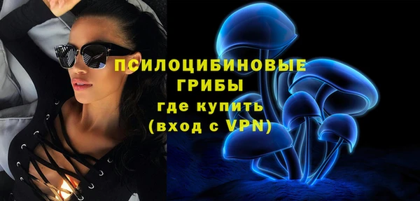 индика Алексин