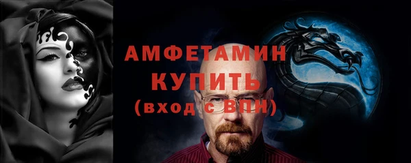индика Алексин