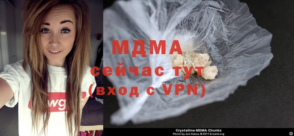 индика Алзамай