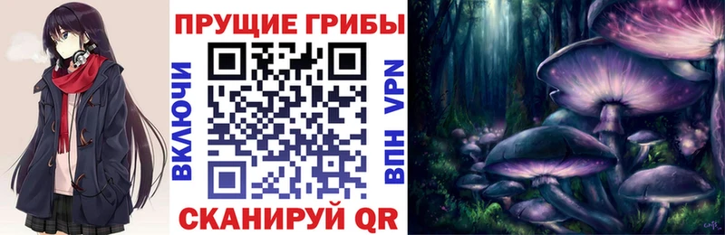 Галлюциногенные грибы Magic Shrooms  Безенчук 