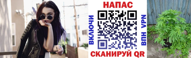 Бошки марихуана SATIVA & INDICA  где найти   Безенчук 